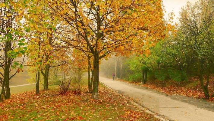 Arrancan las caminatas de Parques con Corazón