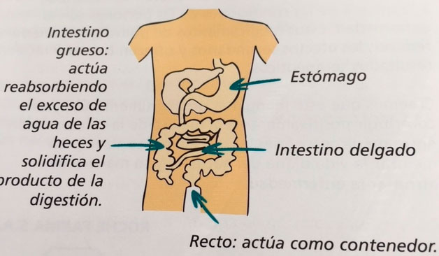 sintomas del cancer de colon en hombres)