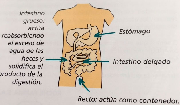 cancer-colorrectal