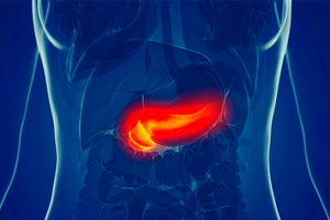 Imagen que muestra el sistema digestivo en tonos azules, con el páncreas resaltado en un llamativo color rojo. Destaca la ubicación del páncreas, donde se produce la pancreatitis.